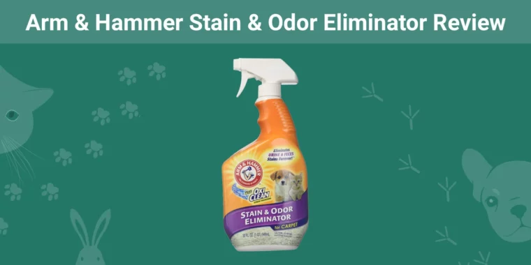 Arm & Hammer Stain & Odor Eliminator - Featured Image
