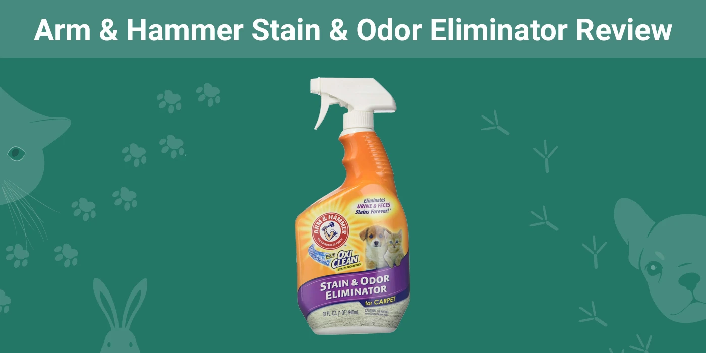 is oxiclean toxic to dogs