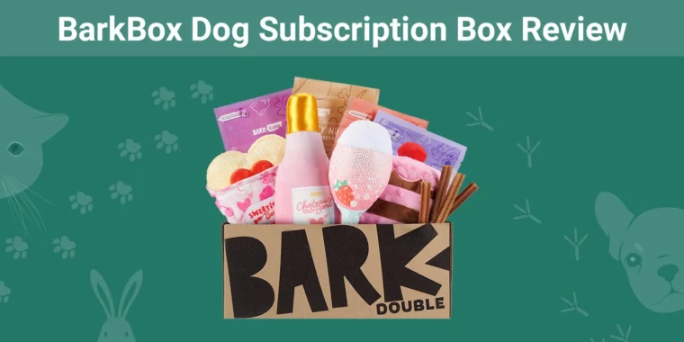 BarkBox Dog Subscription Box - Featured Image
