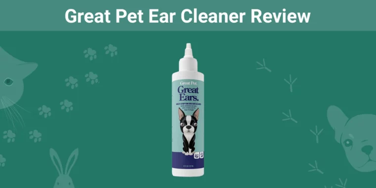 Great Pet Ear Cleaner - Featured Image