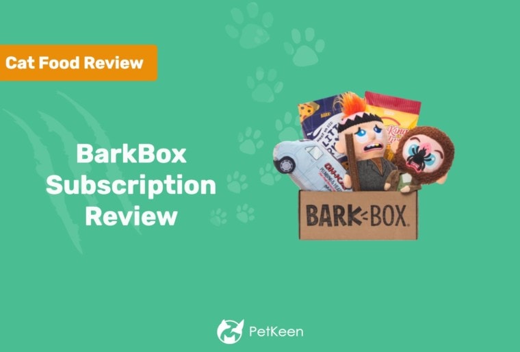 BarkBox Dog Subscription Box Review 2022 Our Expert’s Opinion on