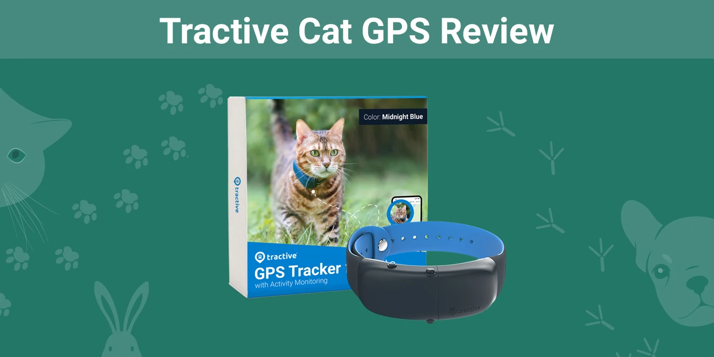 Tractive Cat GPS Review 2024: Our Expert's Opinion
