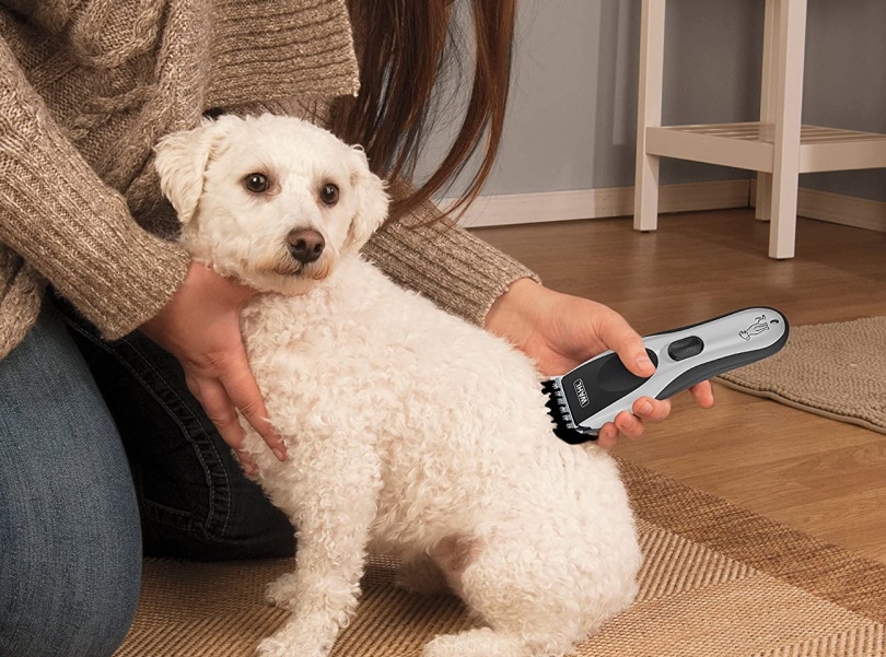 10 Best Cordless Dog Clippers in 2023 - Reviews & Top Picks | Pet Keen