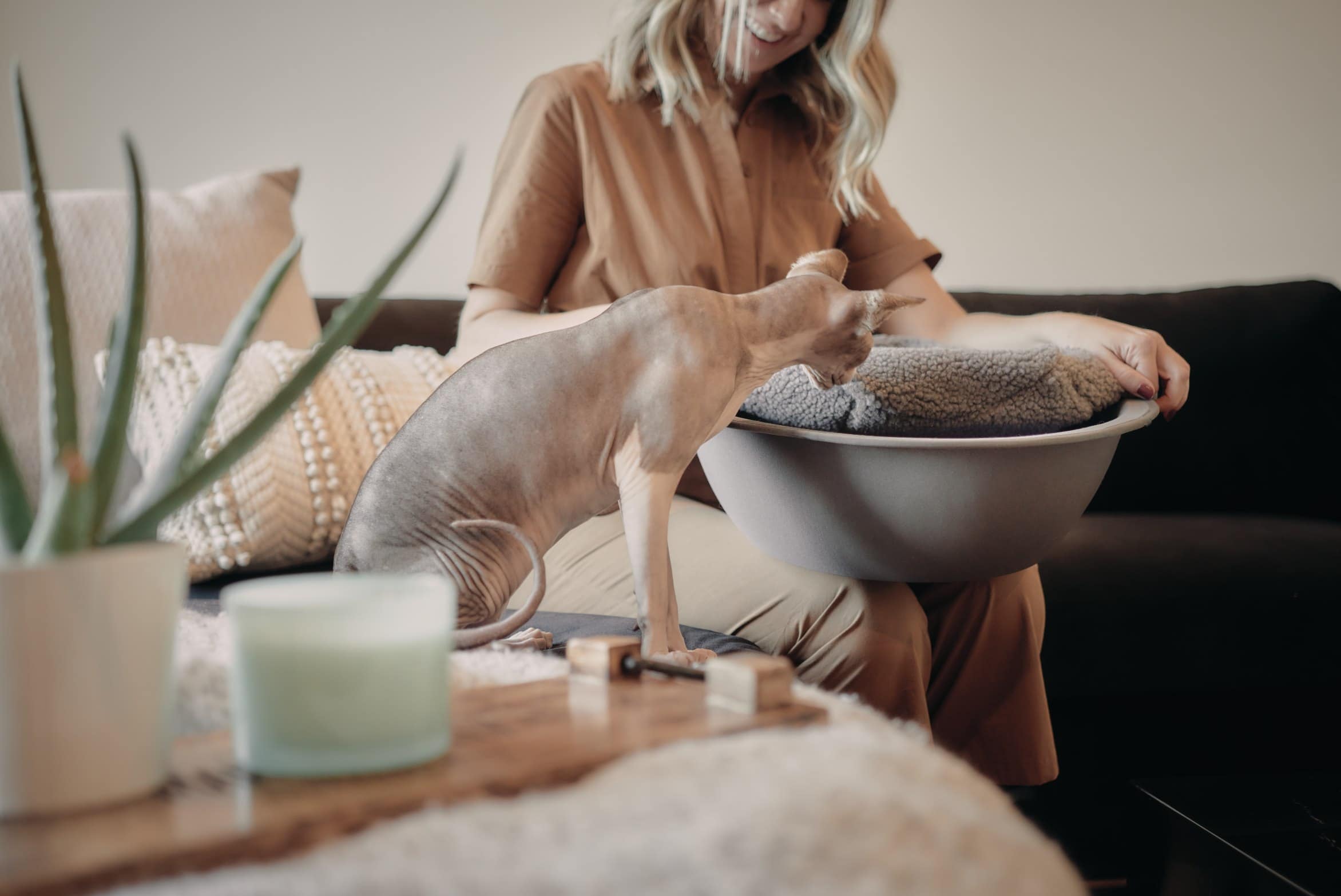 girl with curious hairless cat hepper nest bed