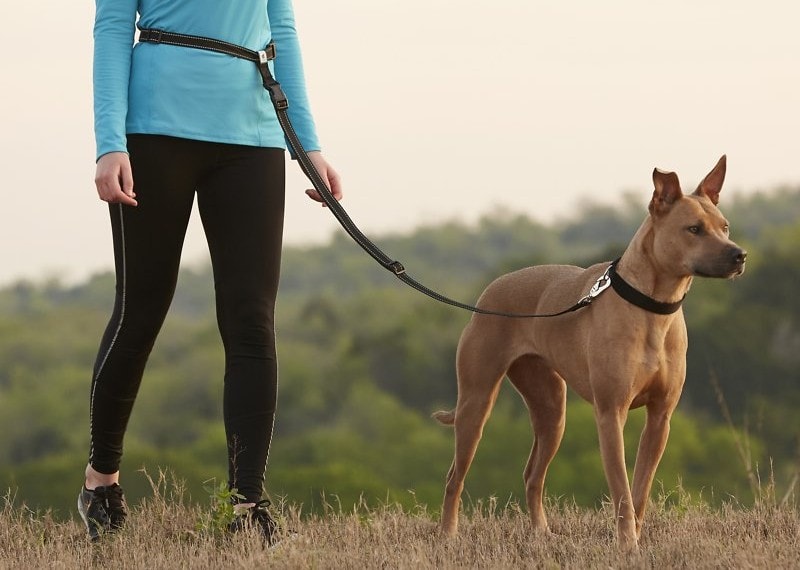 woman hiking with her dog using a hands-free leash