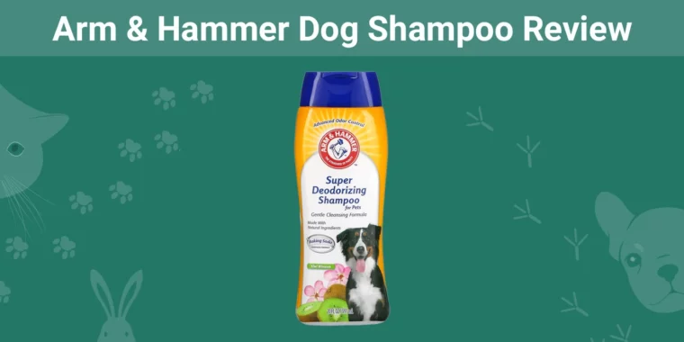 Arm & Hammer Dog Shampoo - Featured Image
