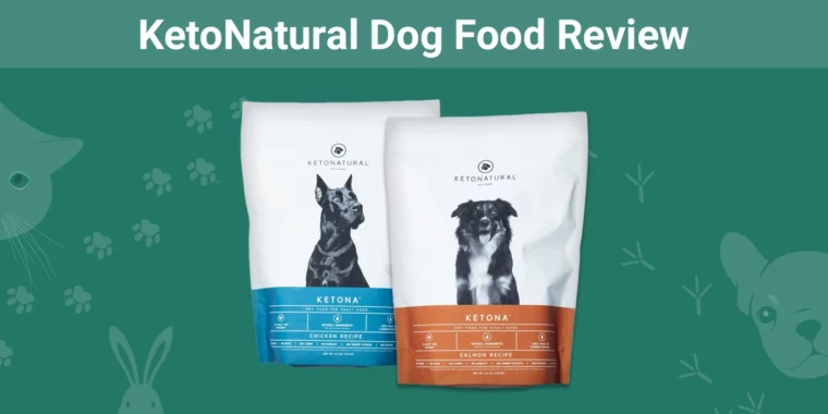 KetoNatural Dog Food - Featured Image