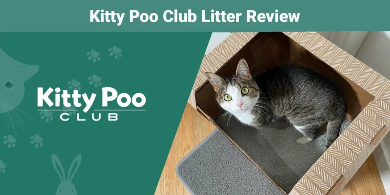 Kitty Poo Club Litter - Featured Image