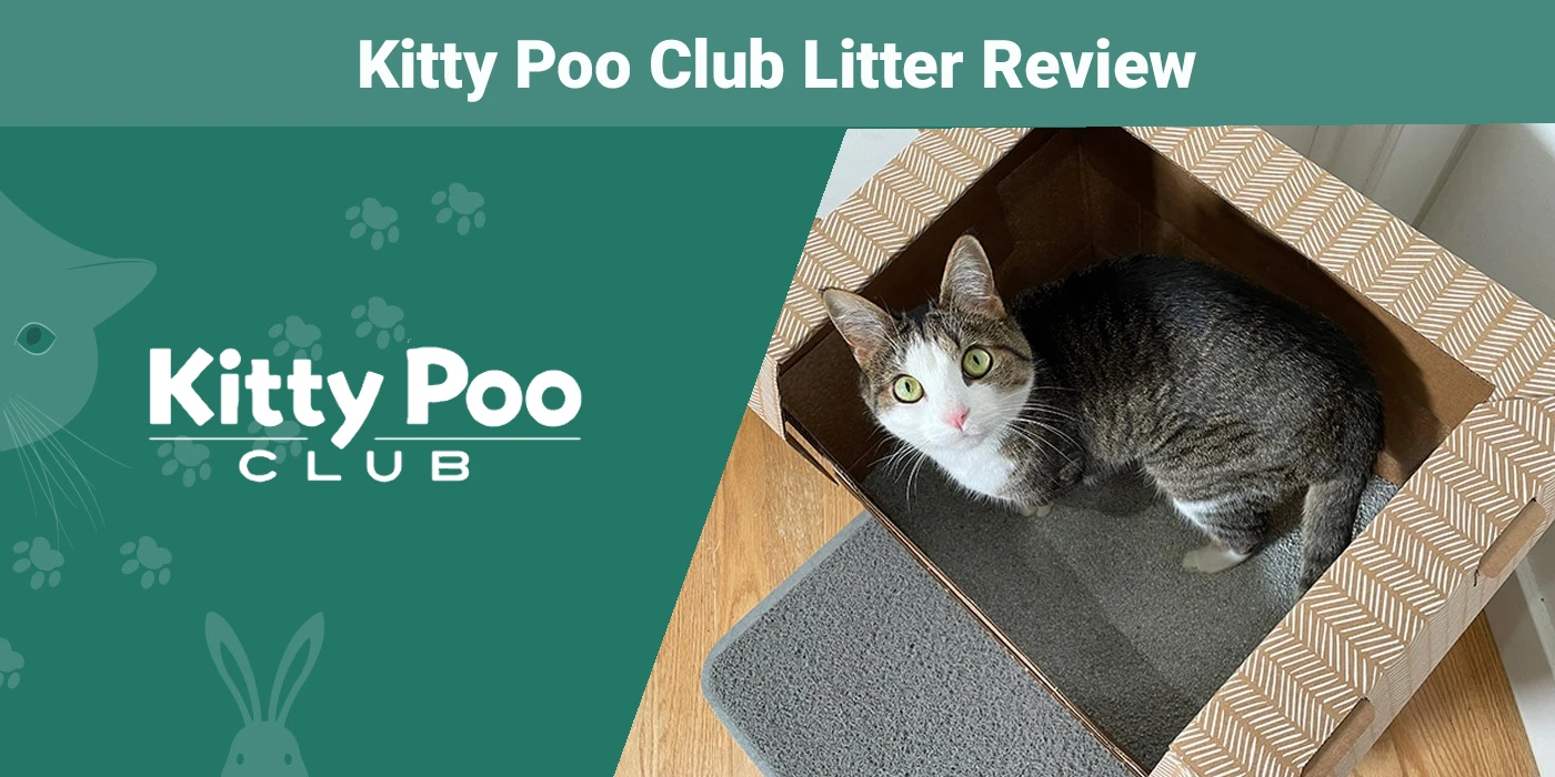 XL Cat Litter Black Mat, Kitty Poo Club