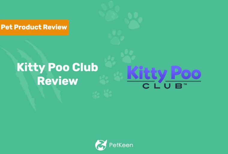 Kitty Pooo Club Review Featured Image