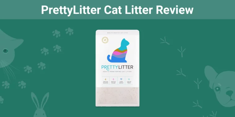 PrettyLitter Cat Litter - Featured Image