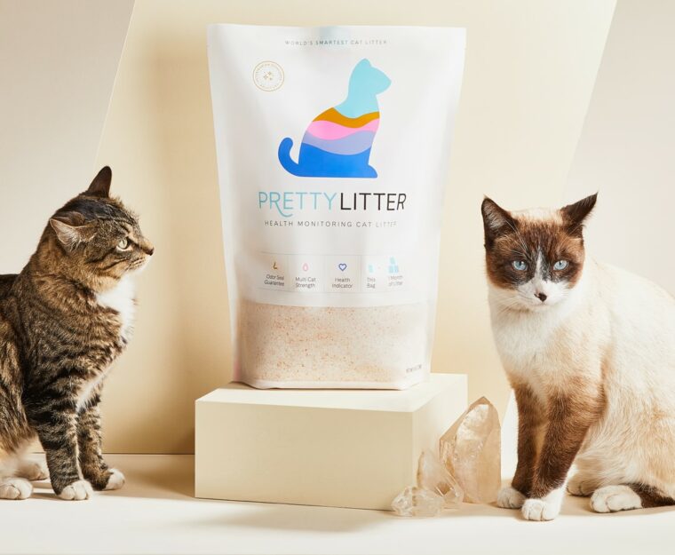 PrettyLitter_two cats with bag of litter