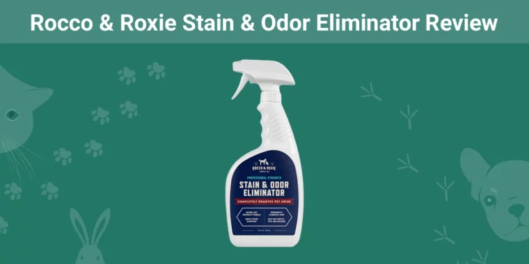 Rocco & Roxie Stain & Odor Eliminator - Featured Image
