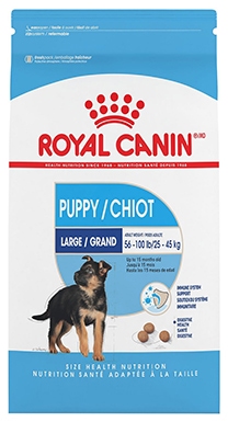 Royal Canin Large Puppy Dry