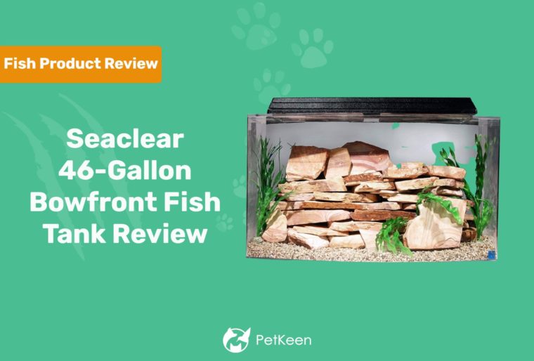 Seaclear 46-Gallon Bowfront Fish Tank Review