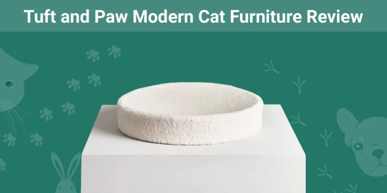 Tuft and Paw Modern Cat Furniture - Featured Image