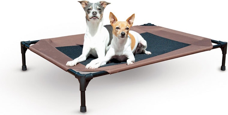 10 Best Dog Beds for Boxers in 2024 – Reviews & Top Picks | Pet Keen