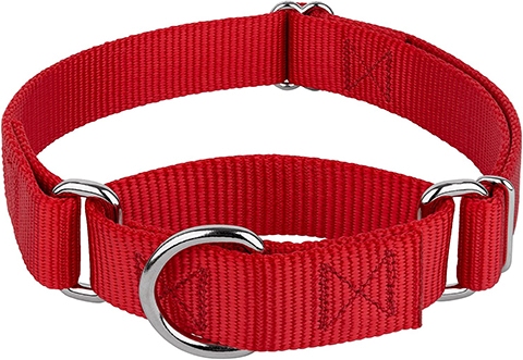 Country Brook Petz Martingale Heavy Duty Dog Collar