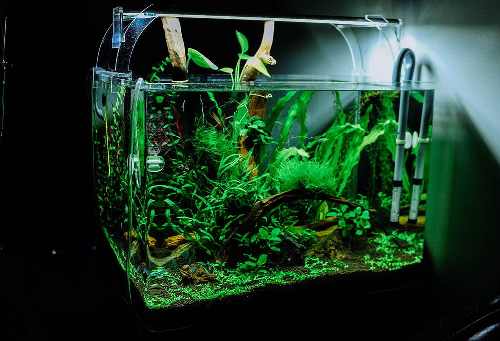 Aquarium Tank heater