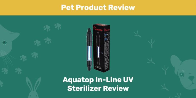 Revisión del esterilizador UV en línea Aquatop Imagen seleccionada