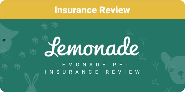 Lemonade insuracne review featured