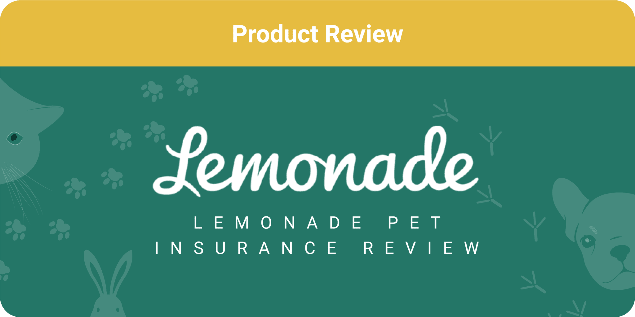 Lemonade Pet Insurance Review 2022 Pros, Cons & Verdict Pet Keen
