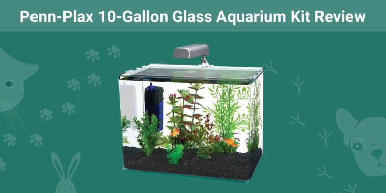 Penn-Plax 10-Gallon Glass Aquarium Kit - Featured Image