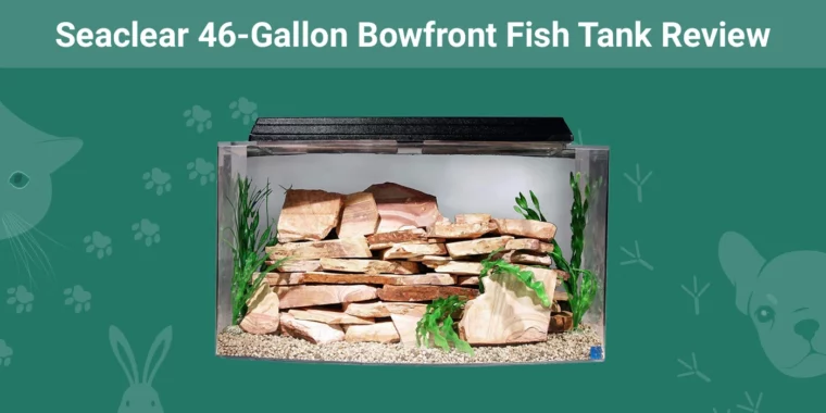 Seaclear 46-Gallon Bowfront Fish Tank - Featured Image