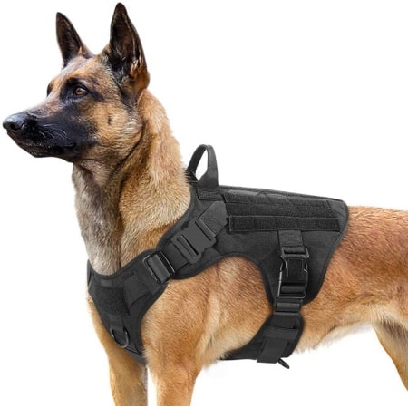10 Best Tactical Dog Harnesses in 2024 - Reviews & Top Picks | Pet Keen