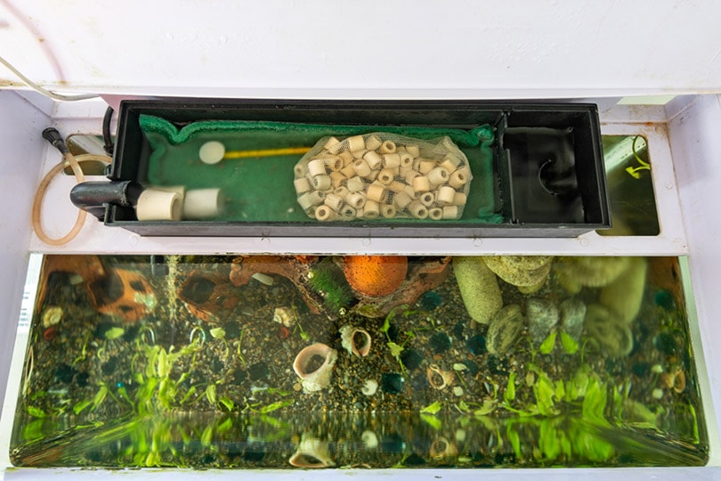 DIY Aquarium Filter Hacks for Pristine Aquarium Water - Odin Aquatics