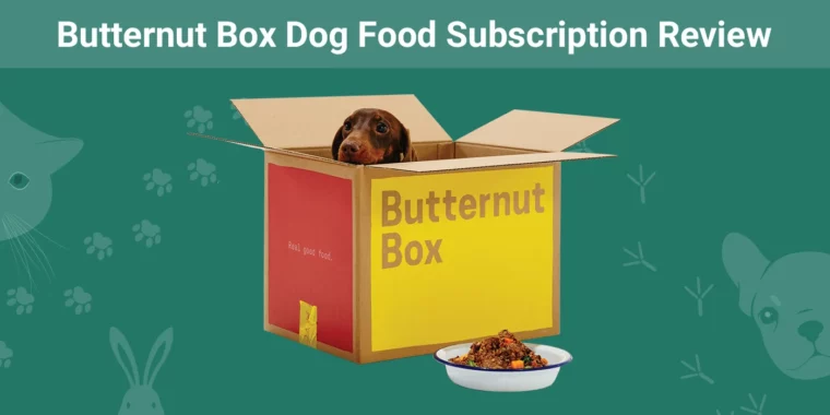 Butternut Box Dog Food Subscription - Featured Image