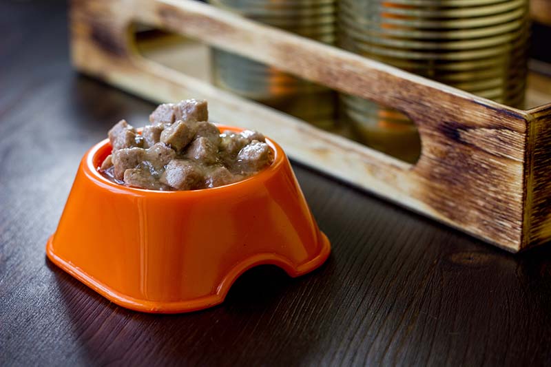 Canned pet food in a orange plastic bowl