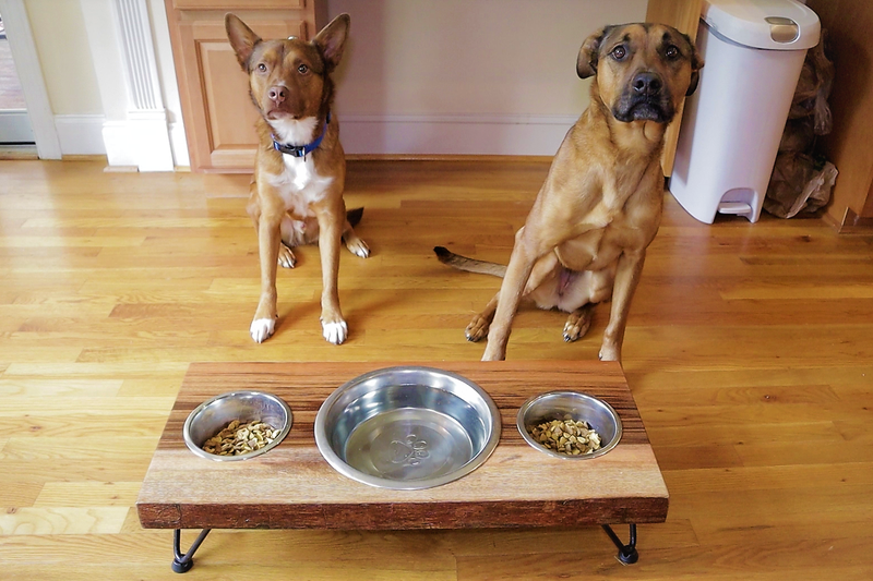 https://petkeen.com/wp-content/uploads/2022/06/DIY-Multi-Dog-Dog-Bowl-Stand-By-Kelly-Concepts.webp