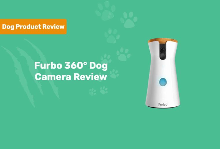 Furbo 360° Dog Camera Review