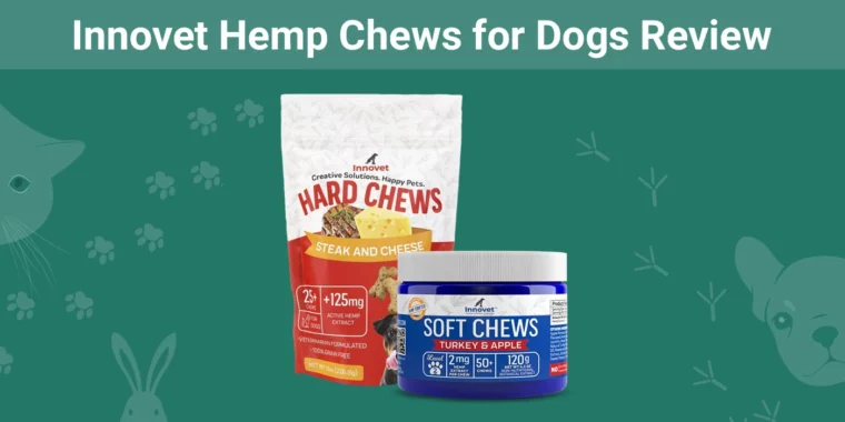 Innovet Hemp Chews for Dogs - Featured Image