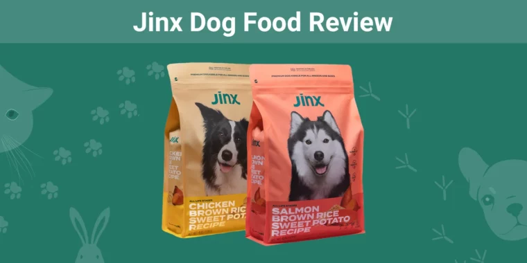 Jinx Dog Food - Featured Image