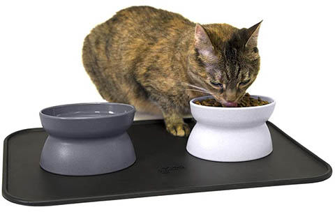 Kitty City Raised Cat Food Bowls and Mat Kit