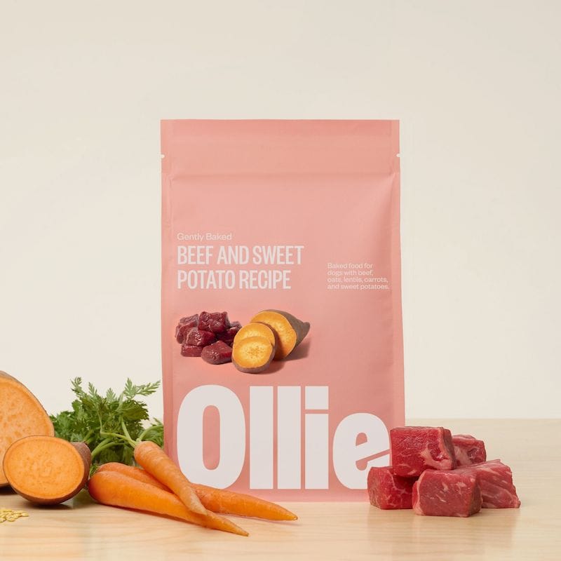 Ollie baked beef with sweet potatoes dog food