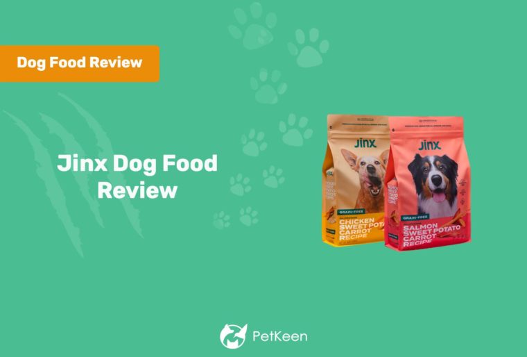 PK Jinx Dog Food Review Featured Image