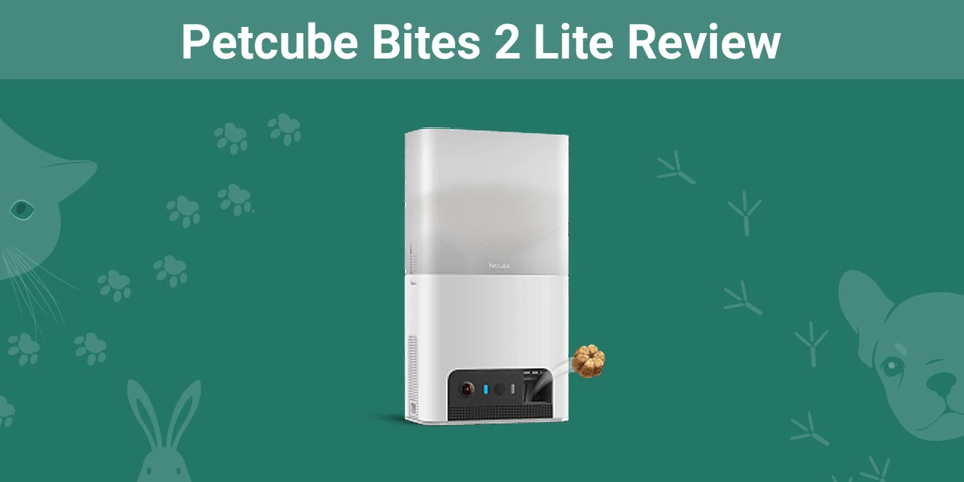 Petcube Bites 2 Lite Review