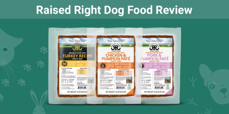 Raised Right Dog Food - Featured Image