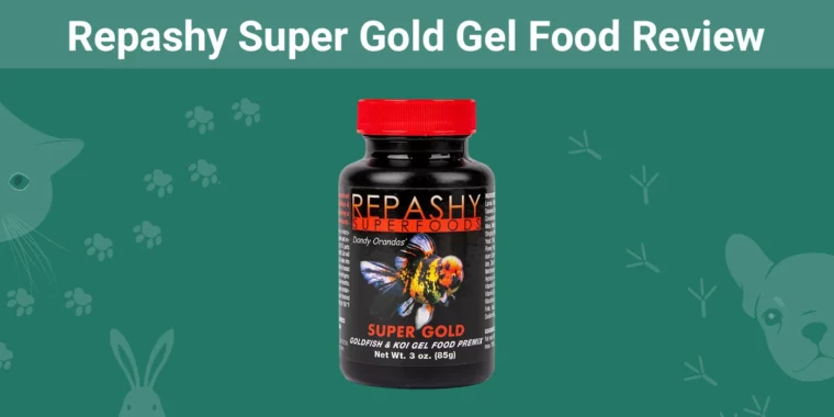 Repashy Super Gold Gel Food - Featured Image