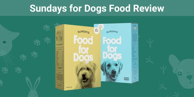 Sundays for Dogs Food - Featured Image