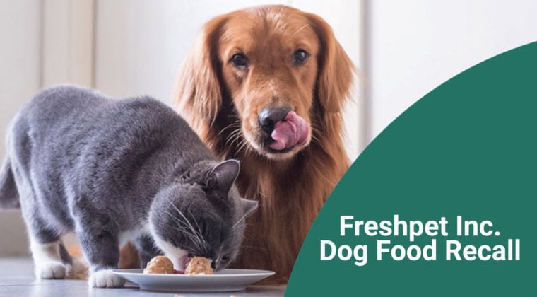 freshpet inc dog food recall