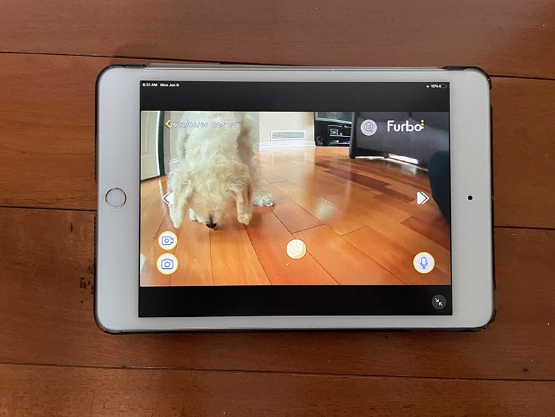 furbo 360 dog camera app