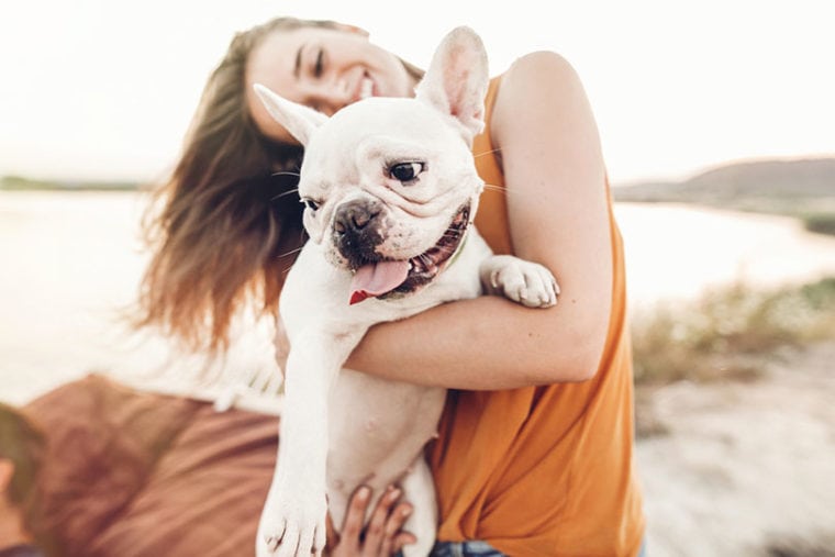 Wagmo Pet Insurance Review 2022: Is It Worth It?