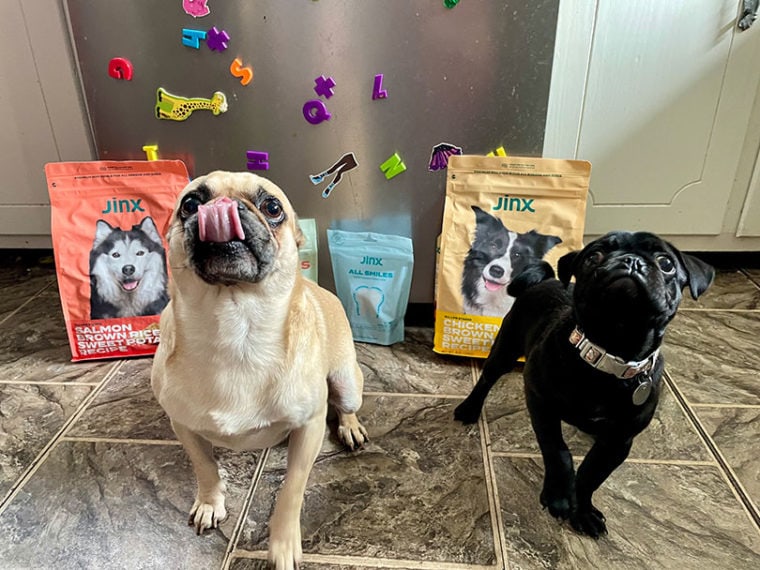 Jinx Dog Food Review 2024 Our Expert’s Opinion On Its Value Pet Keen