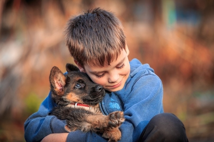kid and german shepherd dog puppy