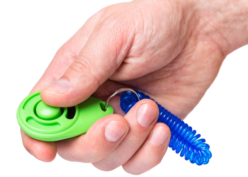 man hand holding clicker