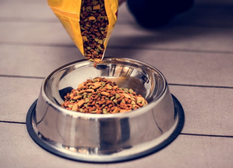 pouring dog food in food bowl